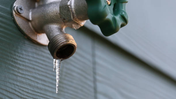Best Shower Repair Services  in Callaway, FL